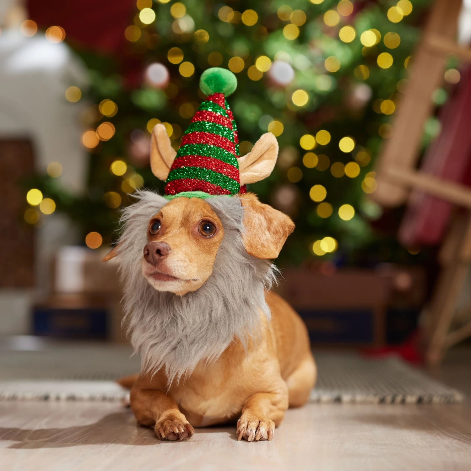 Frisco Elf Dog & Cat Headpiece Frisco Elf Dog & Cat Headpiece -Frisco Pet Hub 357938 PT4. AC SS1800 V1661797821
