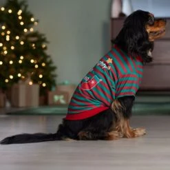 Frisco Naughty, Nice, I Tried Dog & Cat T-Shirt 5 Frisco Naughty, Nice, I Tried Dog & Cat T-Shirt -Frisco Pet Hub 358301 PT7. AC SS1800 V1661797473