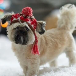 Frisco Reindeer Fair Isle Dog & Cat Pom Hat -Frisco Pet Hub 358309 PT4. AC SS1800 V1661797821