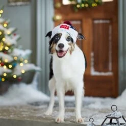 Frisco Ho Ho Ho Dog & Cat Hat -Frisco Pet Hub 358475 PT4. AC SS1800 V1661806265