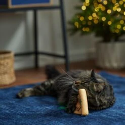 Frisco Holiday Santa's List Plush & Feather Cat Toy With Catnip -Frisco Pet Hub 360895 PT3. AC SS1800 V1661874361