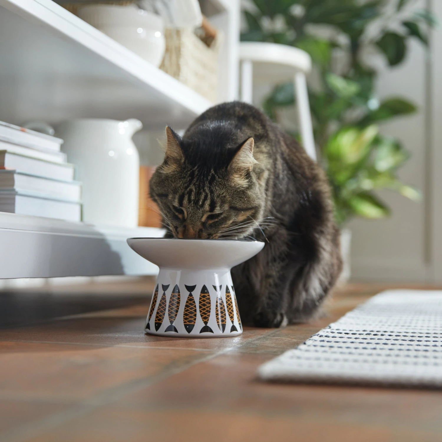 Frisco Cat Face Wide Shape Elevated Non-Skid Ceramic Cat Bowl Frisco Cat Face Wide Shape Elevated Non-Skid Ceramic Cat Bowl -Frisco Pet Hub 363381 PT3. AC SS1800 V1657657267