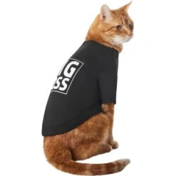 Frisco Big Boss Dog & Cat T-Shirt 2 Frisco Big Boss Dog & Cat T-Shirt -Frisco Pet Hub 368782 PT2. AC SS1800 V1669100852