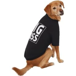 Frisco Big Boss Dog & Cat T-Shirt 3 Frisco Big Boss Dog & Cat T-Shirt -Frisco Pet Hub 368782 PT4. AC SS1800 V1669100910