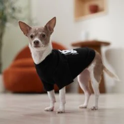 Frisco Big Boss Dog & Cat T-Shirt 5 Frisco Big Boss Dog & Cat T-Shirt -Frisco Pet Hub 368782 PT7. AC SS1800 V1664992675