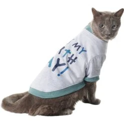 Frisco It's My Birth Day Dog & Cat T-Shirt 2 Frisco It's My Birth Day Dog & Cat T-Shirt -Frisco Pet Hub 368808 PT2. AC SS1800 V1669100848