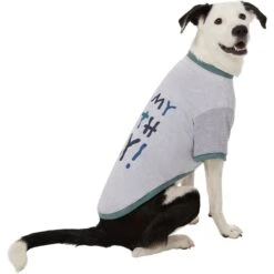 Frisco It's My Birth Day Dog & Cat T-Shirt 3 Frisco It's My Birth Day Dog & Cat T-Shirt -Frisco Pet Hub 368808 PT4. AC SS1800 V1669101517