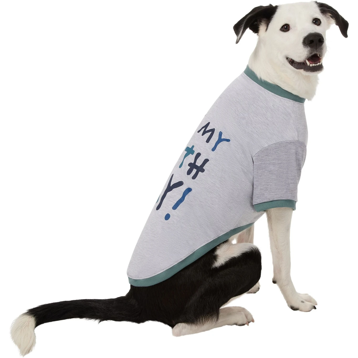 Frisco It's My Birth Day Dog & Cat T-Shirt Frisco It's My Birth Day Dog & Cat T-Shirt -Frisco Pet Hub 368808 PT4. AC SS1800 V1669101517