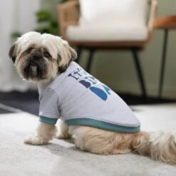 Frisco It's My Birth Day Dog & Cat T-Shirt 5 Frisco It's My Birth Day Dog & Cat T-Shirt -Frisco Pet Hub 368808 PT7. AC SS1800 V1664992107