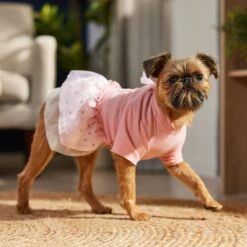 Frisco Tulle Hearts Dog & Cat Dress 8 Frisco Tulle Hearts Dog & Cat Dress -Frisco Pet Hub 371070 PT8. AC SS1800 V1700690505