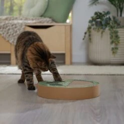 Frisco Interactive Maze & Scratch Cardboard Cat Toy Box With Catnip, Palms 4 Frisco Interactive Maze & Scratch Cardboard Cat Toy Box With Catnip, Palms -Frisco Pet Hub 506130 PT4. AC SS1800 V1669212028