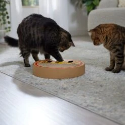 Frisco Interactive Maze & Scratch Cardboard Cat Toy With Catnip, Pizza -Frisco Pet Hub 506154 PT4. AC SS1800 V1669148129