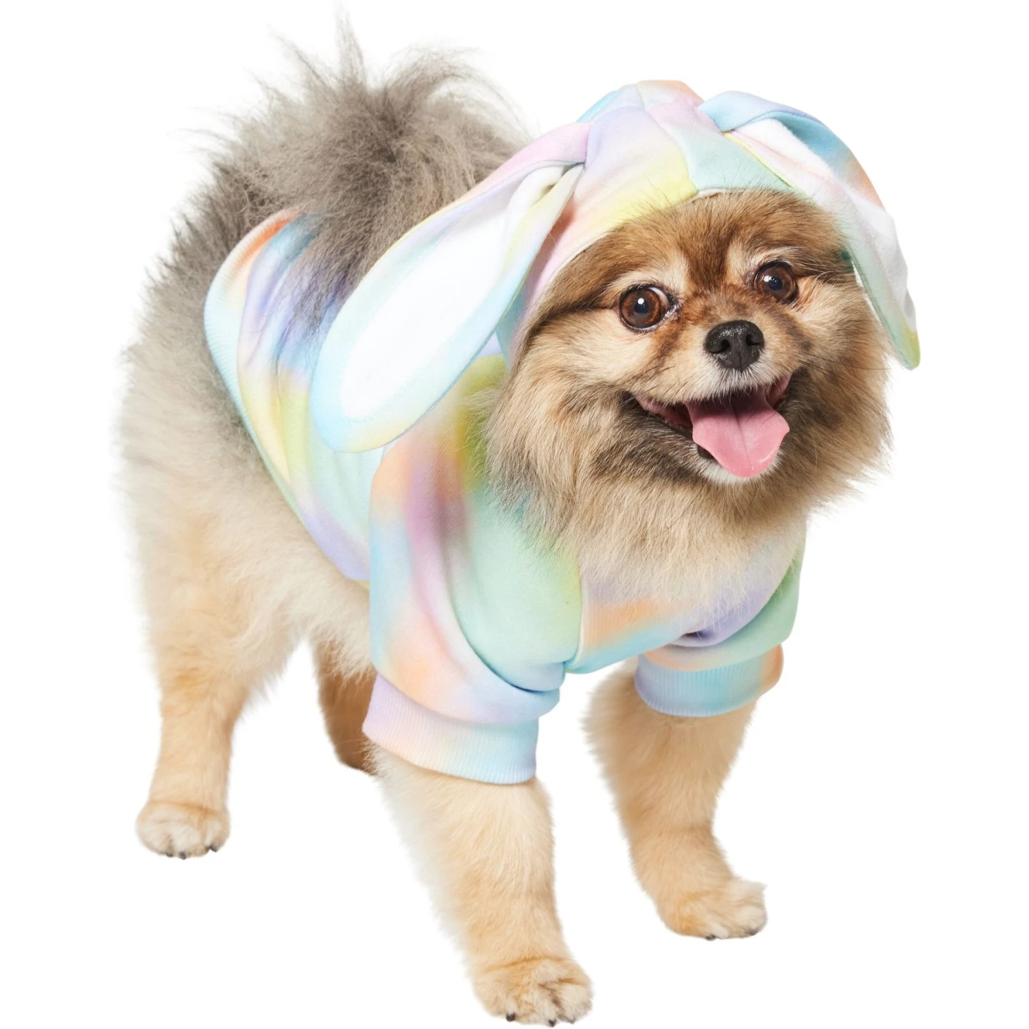 Frisco Wash Effect Bunny Ear Hoodie Frisco Wash Effect Bunny Ear Hoodie -Frisco Pet Hub 521374 PT2. AC SS1800 V1699653752
