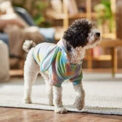 Frisco Wash Effect Bunny Ear Hoodie 7 Frisco Wash Effect Bunny Ear Hoodie -Frisco Pet Hub 521374 PT7. AC SS1800 V1699653757