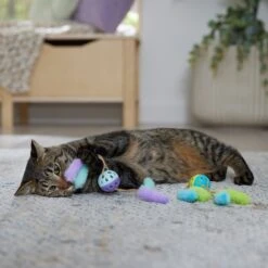 Frisco Fabric & Play Plastic Balls Cat Toy 2 Frisco Fabric & Play Plastic Balls Cat Toy -Frisco Pet Hub 526030 PT3. AC SS1800 V1669148132