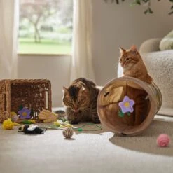 Frisco Spring Plush, Teaser, Ball & Tunnel Variety Pack Cat Toy With Catnip, 10 Count 3 Frisco Spring Plush, Teaser, Ball & Tunnel Variety Pack Cat Toy With Catnip, 10 Count -Frisco Pet Hub 541590 PT3. AC SS1800 V1671814448