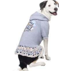 Frisco Stay Wild Dog & Cat Hoodie -Frisco Pet Hub 555366 PT3. AC SS1800 V1674829142