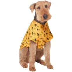 Frisco Safari Zebra Dog & Cat Shirt -Frisco Pet Hub 555566 PT3. AC SS1800 V1675103172