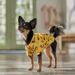 Frisco Safari Zebra Dog & Cat Shirt -Frisco Pet Hub 555566 PT7. AC SS1800 V1675099388