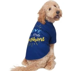Frisco I Live In The Sunshine Dog & Cat T-Shirt -Frisco Pet Hub 556222 PT3. AC SS1800 V1674829145