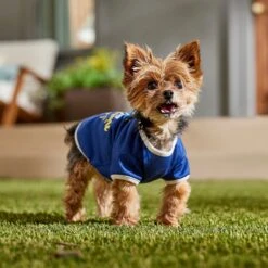 Frisco I Live In The Sunshine Dog & Cat T-Shirt -Frisco Pet Hub 556222 PT5. AC SS1800 V1674828683