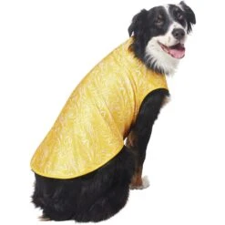 Frisco 30+ UPF Dog & Cat Beach Rash Guard -Frisco Pet Hub 556286 PT4. AC SS1800 V1675713977