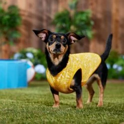 Frisco 30+ UPF Dog & Cat Beach Rash Guard -Frisco Pet Hub 556286 PT6. AC SS1800 V1675714036