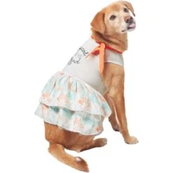 Frisco Tropical State Of Mind Dog & Cat Dress 3 Frisco Tropical State Of Mind Dog & Cat Dress -Frisco Pet Hub 556742 PT3. AC SS1800 V1675103177