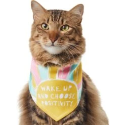 Frisco Wake Up Positive Dog & Cat Bandana -Frisco Pet Hub 608230 PT2. AC SS1800 V1676644830