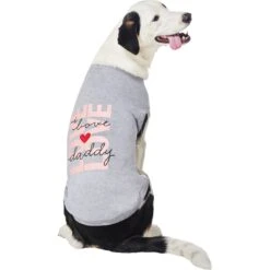 Frisco I Love Daddy Heart Dog & Cat T-Shirt -Frisco Pet Hub 608262 PT3. AC SS1800 V1676585958
