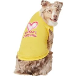 Frisco Mama's Sunshine Dog & Cat T-Shirt 2 Frisco Mama's Sunshine Dog & Cat T-Shirt -Frisco Pet Hub 608446 PT3. AC SS1800 V1676586071