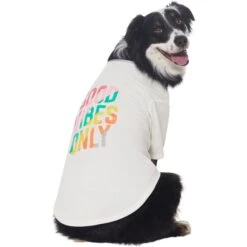 Frisco Good Vibes Only Dog & Cat T-Shirt -Frisco Pet Hub 608518 PT3. AC SS1800 V1676642216