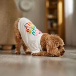 Frisco Good Vibes Only Dog & Cat T-Shirt -Frisco Pet Hub 608518 PT7. AC SS1800 V1676644453