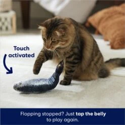 Frisco Interactive Flopping Fish Electronic Cat Toy With Catnip 4 Frisco Interactive Flopping Fish Electronic Cat Toy With Catnip -Frisco Pet Hub 632798 PT4. AC SS1800 V1679513800