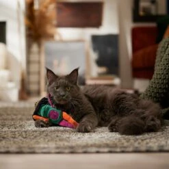 Frisco Halloween Frog In Witch Hat Plush Kicker Cat Toy With Catnip 2 Frisco Halloween Frog In Witch Hat Plush Kicker Cat Toy With Catnip -Frisco Pet Hub 667942 PT3. AC SS1800 V1689355019