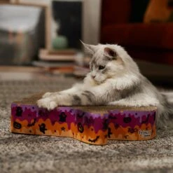 Frisco Halloween Ghost Swirl Scratcher Cat Toy With Catnip -Frisco Pet Hub 668230 PT3. AC SS1800 V1689343997