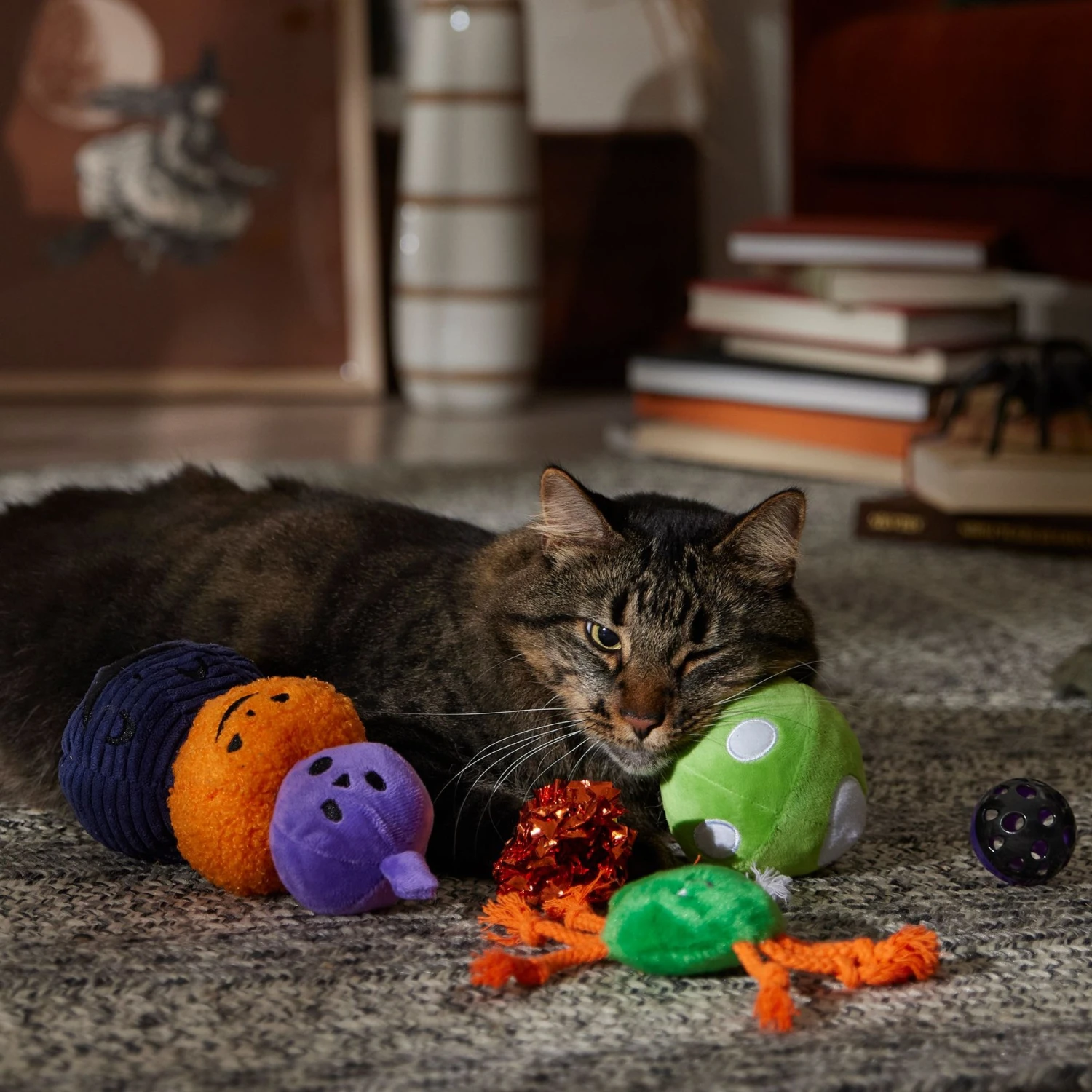Frisco Halloween Mystical Variety Pack Plush & Balls Cat Toy with Catnip Frisco Halloween Mystical Variety Pack Plush & Balls Cat Toy With Catnip -Frisco Pet Hub 668374 PT3. AC SS1800 V1689282492