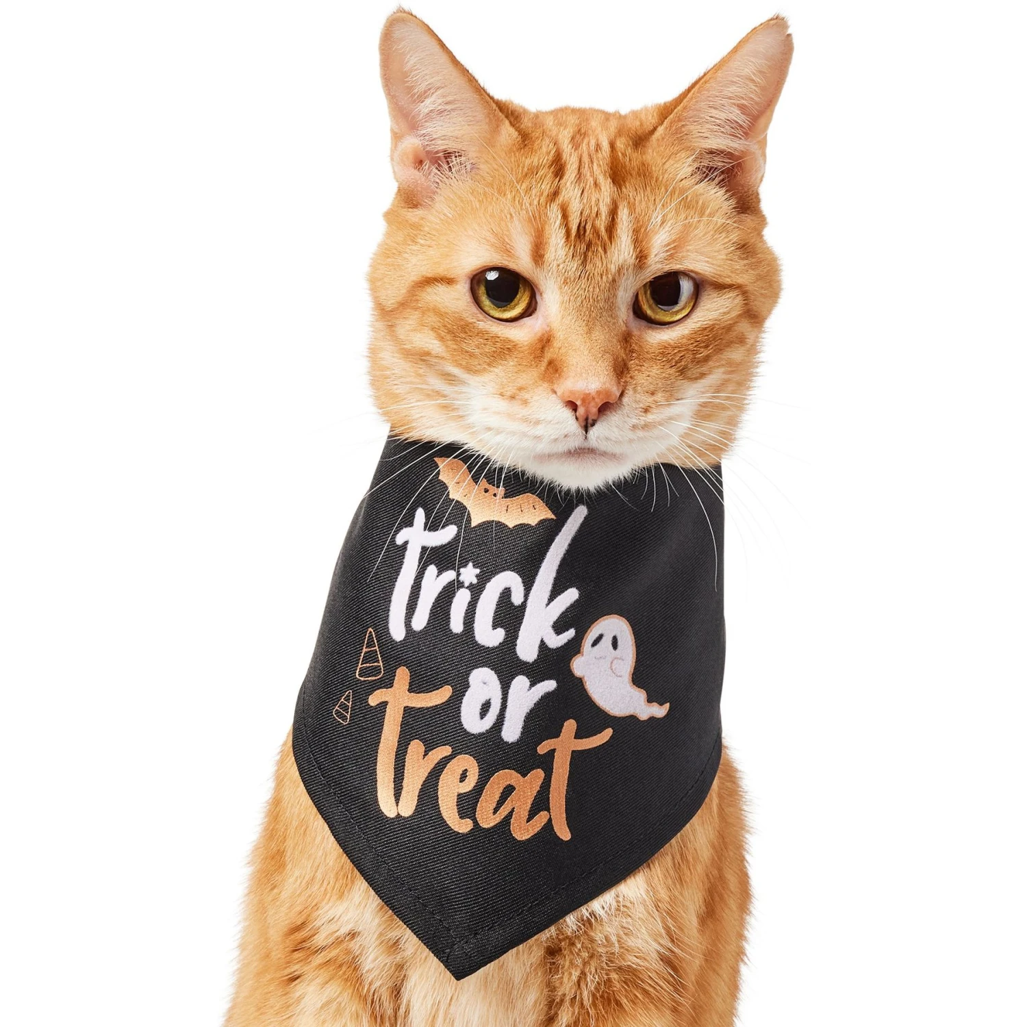 Frisco Trick or Treat Dog & Cat Bandana Frisco Trick Or Treat Dog & Cat Bandana -Frisco Pet Hub 706398 MAIN. AC SS1800 V1689271218