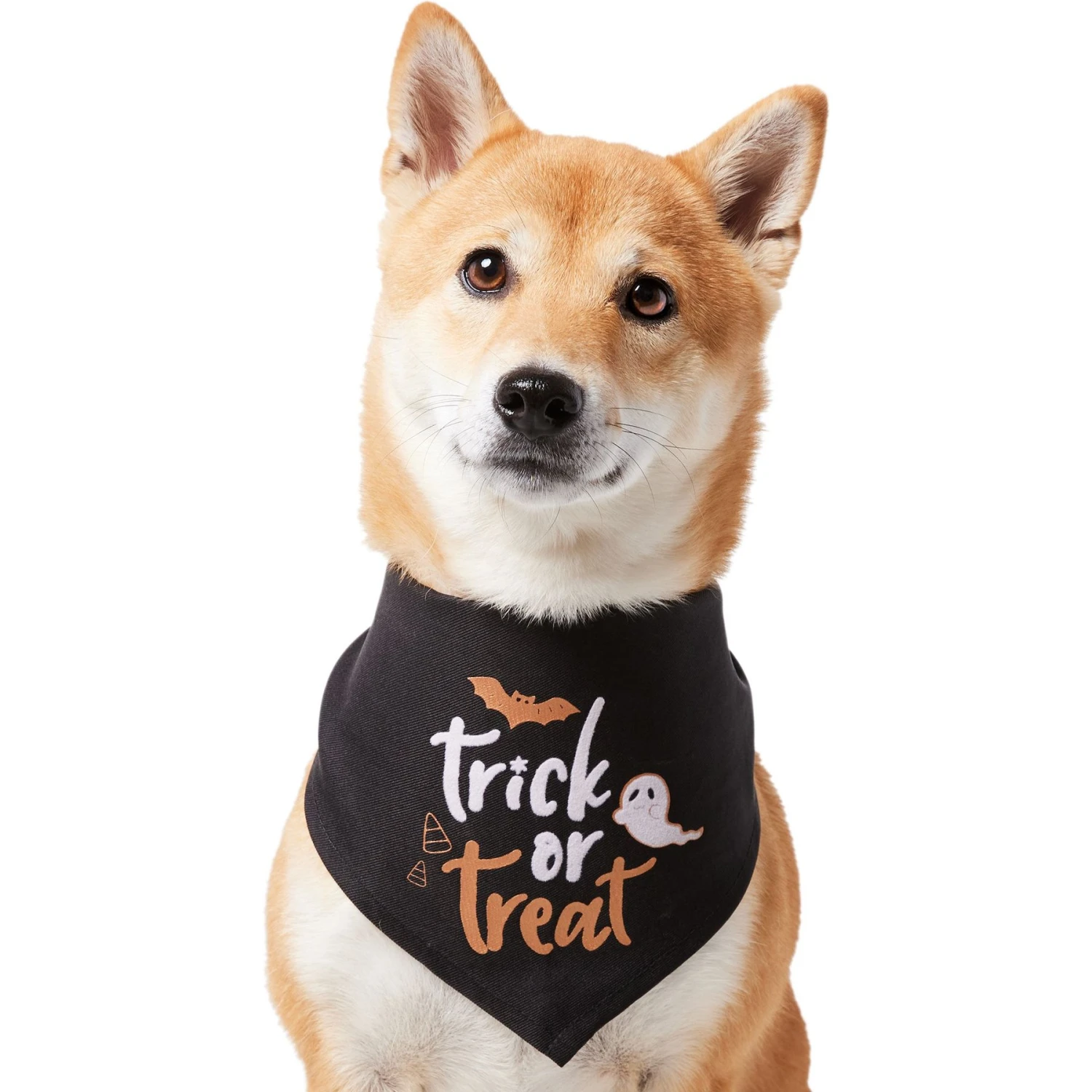 Frisco Trick or Treat Dog & Cat Bandana Frisco Trick Or Treat Dog & Cat Bandana -Frisco Pet Hub 706398 PT2. AC SS1800 V1690478415