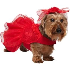 Frisco Red Ruffle Dog & Cat Dress + Headpiece -Frisco Pet Hub 707286 PT2. AC SS1800 V1689355022