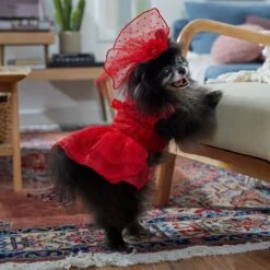 Frisco Red Ruffle Dog & Cat Dress + Headpiece -Frisco Pet Hub 707286 PT7. AC SS1800 V1689351702
