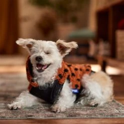 Frisco Dotted Dog & Cat Hoodie -Frisco Pet Hub 718326 PT7. AC SS1800 V1692375977