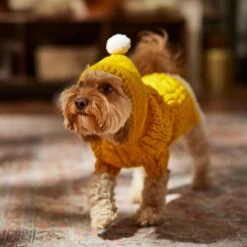 Frisco Sherpa Lined Chunky Cable Knit Dog & Cat Hooded Sweater -Frisco Pet Hub 718374 PT7. AC SS1800 V1692379031