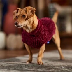Frisco Cozy Textured Chenille Dog & Cat Sweater -Frisco Pet Hub 718614 PT7. AC SS1800 V1692378337