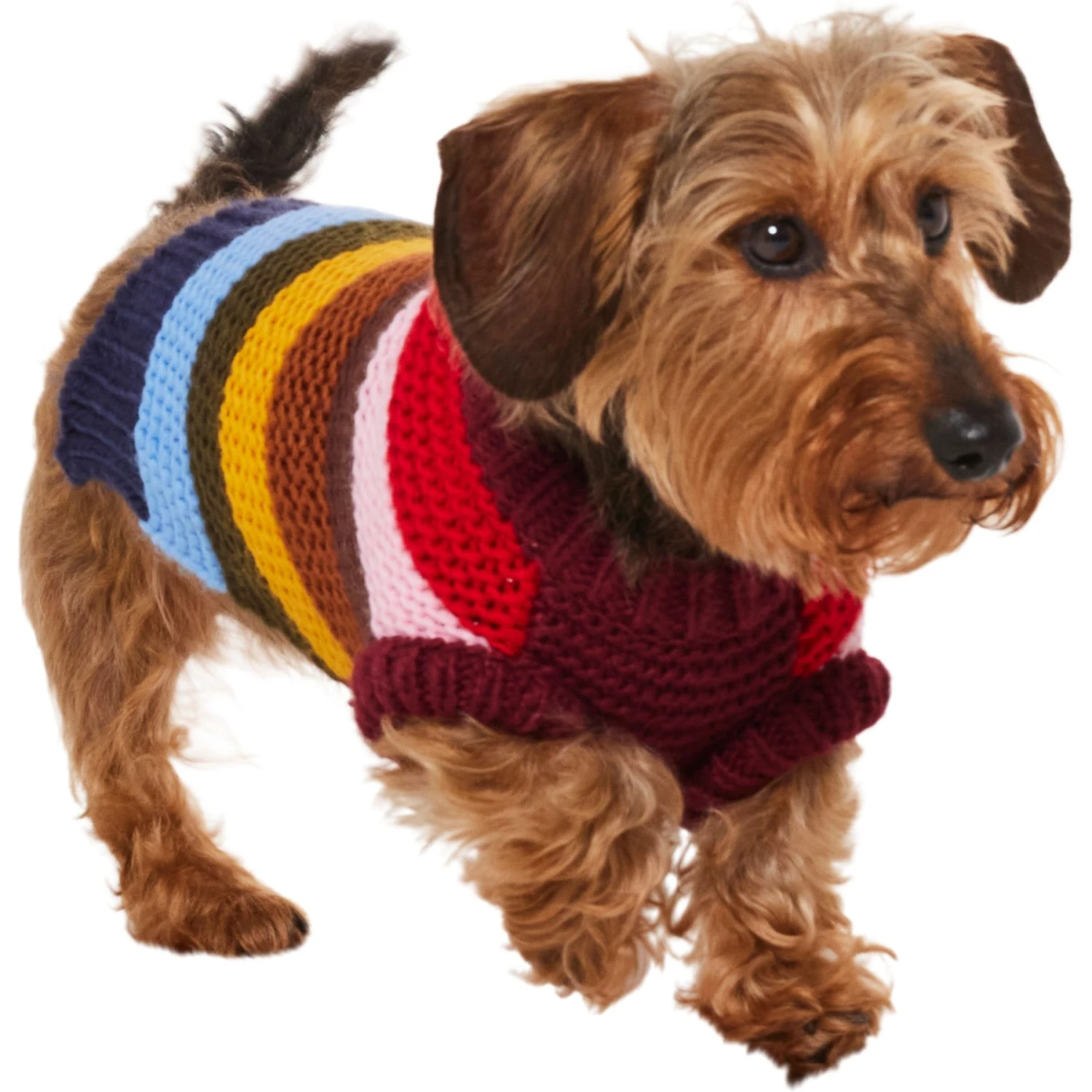 Frisco Chunky Knit Multi-Stripe Dog & Cat Sweater Frisco Chunky Knit Multi-Stripe Dog & Cat Sweater -Frisco Pet Hub 718662 PT2. AC SS1800 V1703184683
