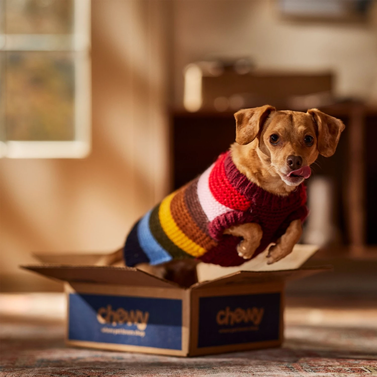 Frisco Chunky Knit Multi-Stripe Dog & Cat Sweater Frisco Chunky Knit Multi-Stripe Dog & Cat Sweater -Frisco Pet Hub 718662 PT7. AC SS1800 V1692378219