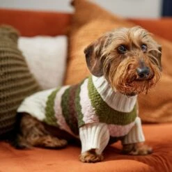 Frisco Bubble Knit Multi Striped Mock Neck Dog & Cat Sweater -Frisco Pet Hub 718854 PT7. AC SS1800 V1692378688