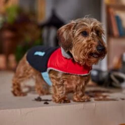 Frisco Medium Weight Retro Colorblock Mixed Media Dog & Cat Coat 7 Frisco Medium Weight Retro Colorblock Mixed Media Dog & Cat Coat -Frisco Pet Hub 719462 PT7. AC SS1800 V1692379031