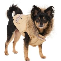 Frisco Heavy Weight Matte Quilted Dog & Cat Parka With Cozy Fleece Lining -Frisco Pet Hub 719654 PT2. AC SS1800 V1703184629