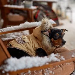 Frisco Heavy Weight Matte Quilted Dog & Cat Parka With Cozy Fleece Lining -Frisco Pet Hub 719654 PT7. AC SS1800 V1692376037